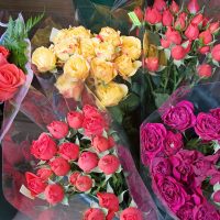 Flores