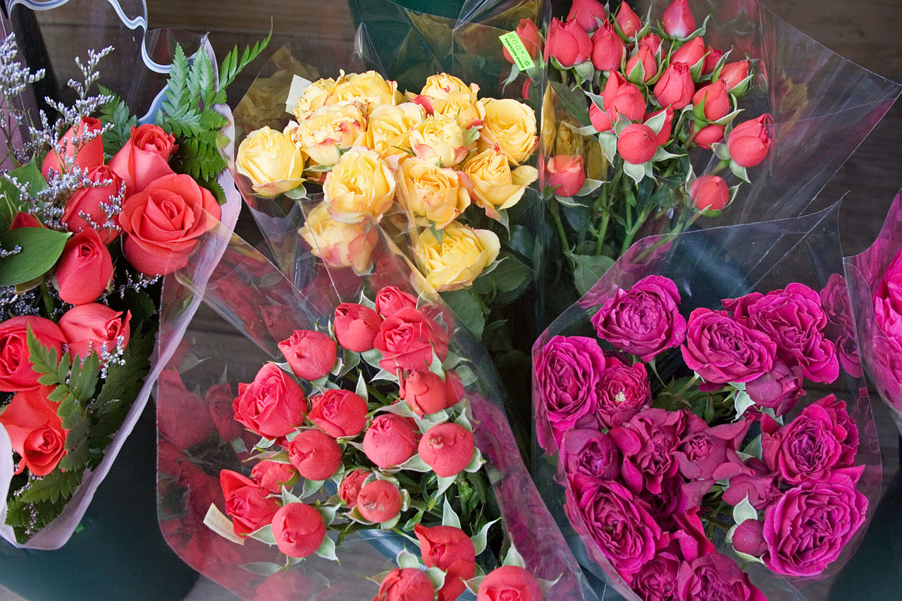 Flores