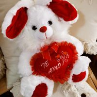 OSO PELUCHE