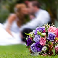 Bodas