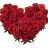 CORAZON DE ROSAS