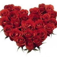 CORAZON DE ROSAS