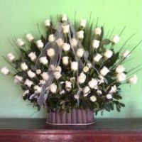 CESTA DE 50 ROSAS