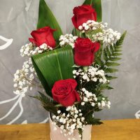 BOX - AMOR IN CRESCENDO